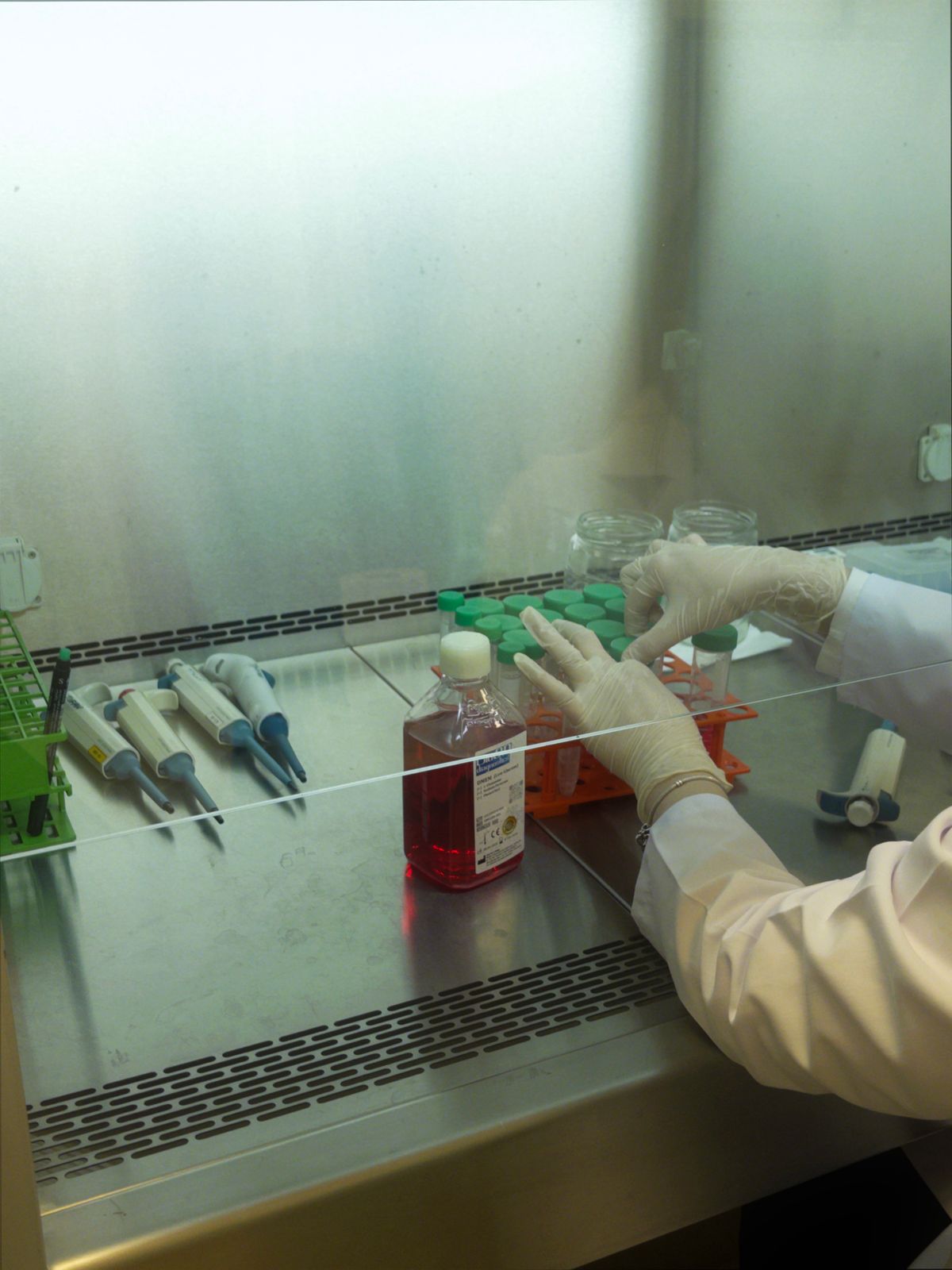 Lab technician working with diagnostic equipment
